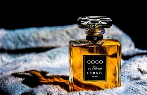 chabel perfume